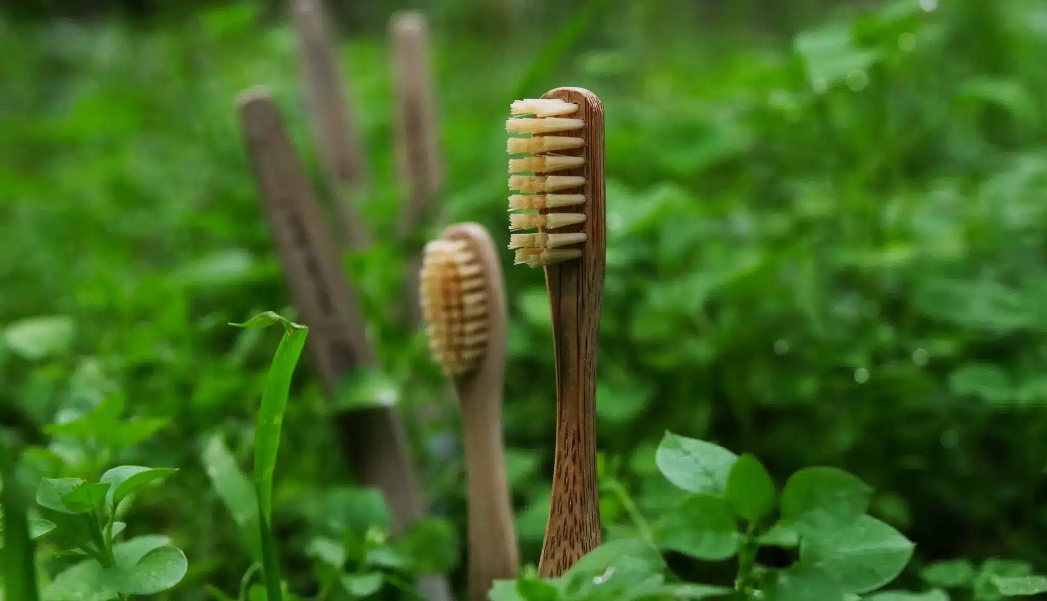 11 façons de recycler sa brosse à dents naturelles (ou en plastique) ! ♻️