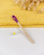 brosse a dents rechargeable enfant violette