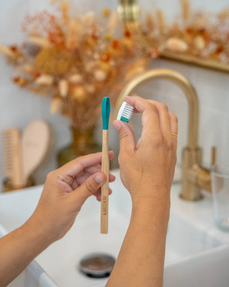 fixer recharge de brosse a dents