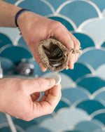 recycler restes de savons solides