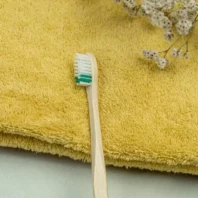 brosse à dents en bois souple