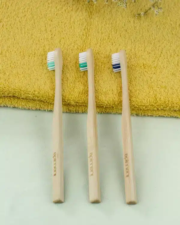 brosses à dents françaises en bois