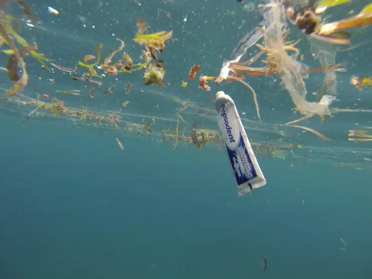 pollution tubes de dentifrice en plastique