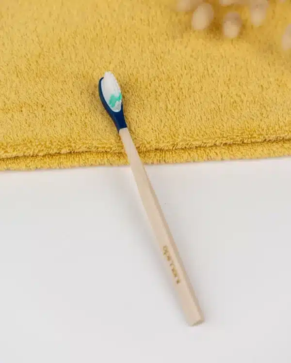 brosse a dents rechargeable extra souple bleu