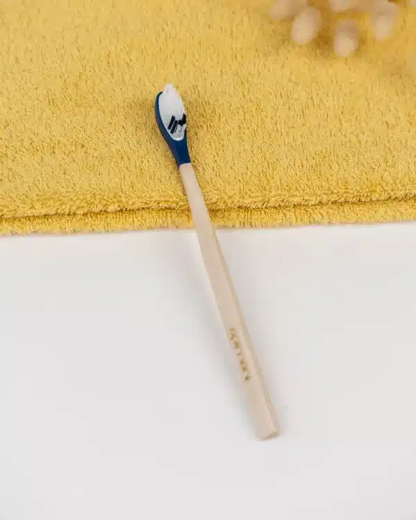 brosse a dents rechargeable medium bleu