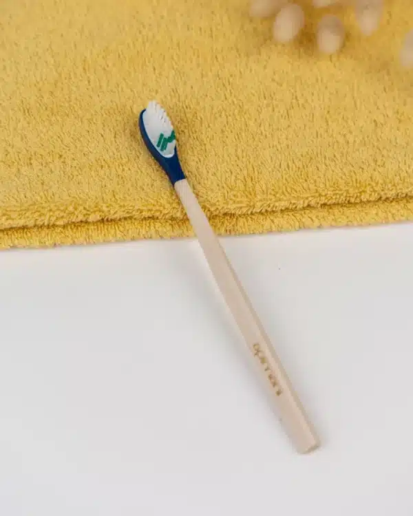brosse a dents rechargeable souple bleu