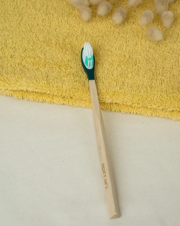 brosse à dents rechargeable verte extra-souple