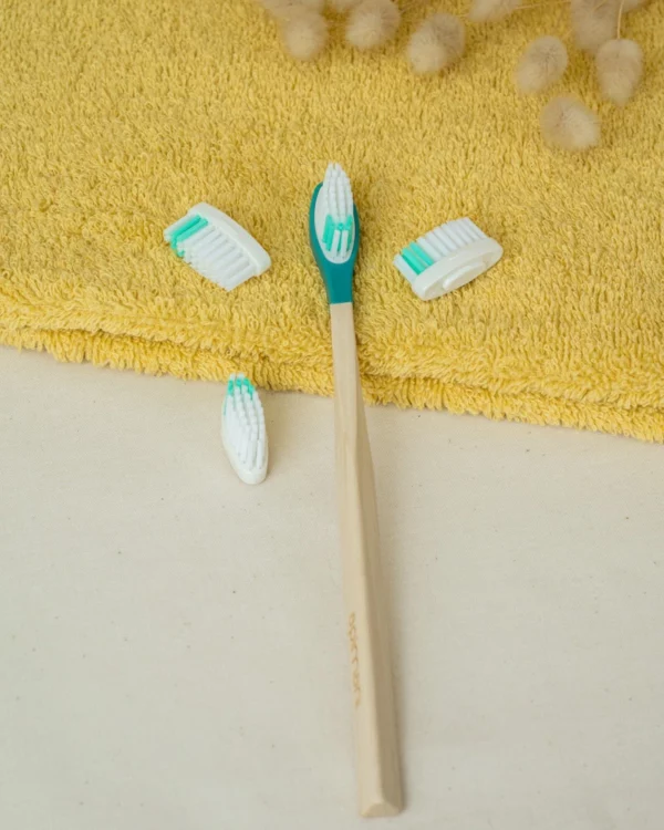 pack 1 an brosse à dents rechargeable bleu-vert extra-souple