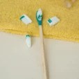 pack 1 an brosse à dents rechargeable bleu-vert souple