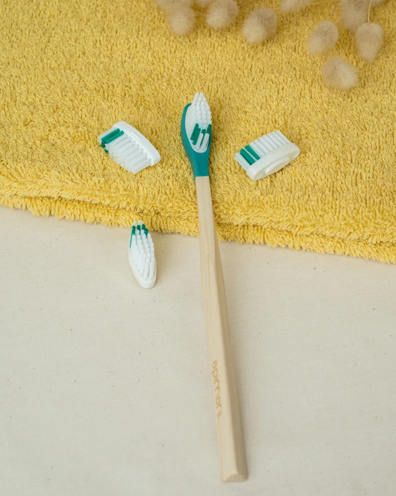 pack 1 an brosse à dents rechargeable bleu-vert souple
