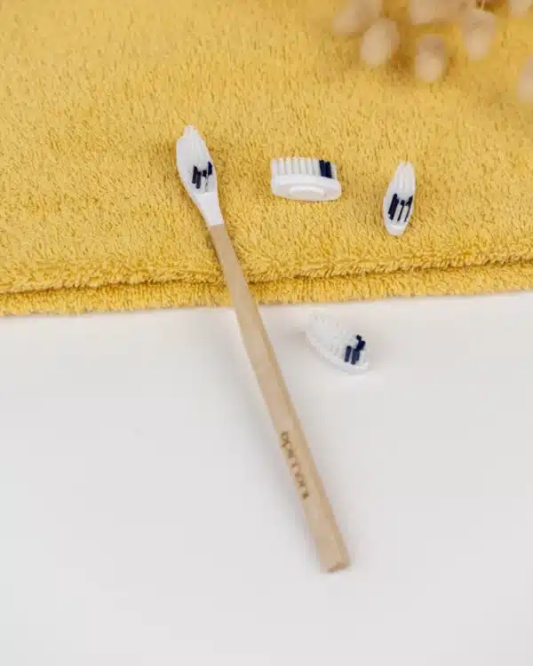pack 1 an brosse a dents rechargeable medium blanc