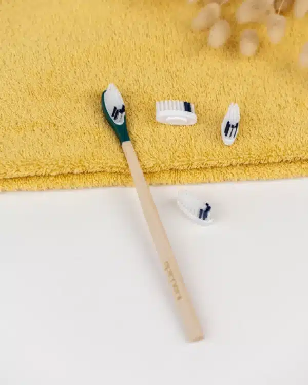 pack 1 an brosse a dents rechargeable medium vert