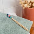 brosse-a-dents-rechargeable-made-in-france