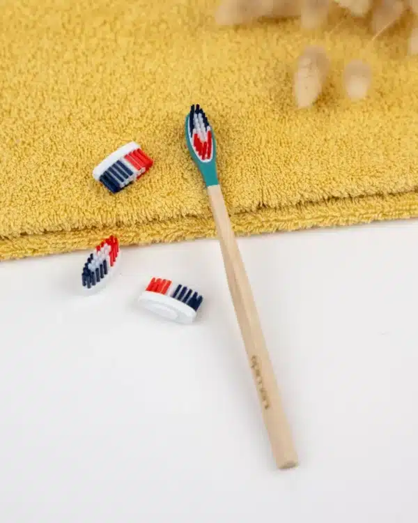 Pack 1 an – Brosse à dents en bois rechargeable – La Maline – Souple (BBR)